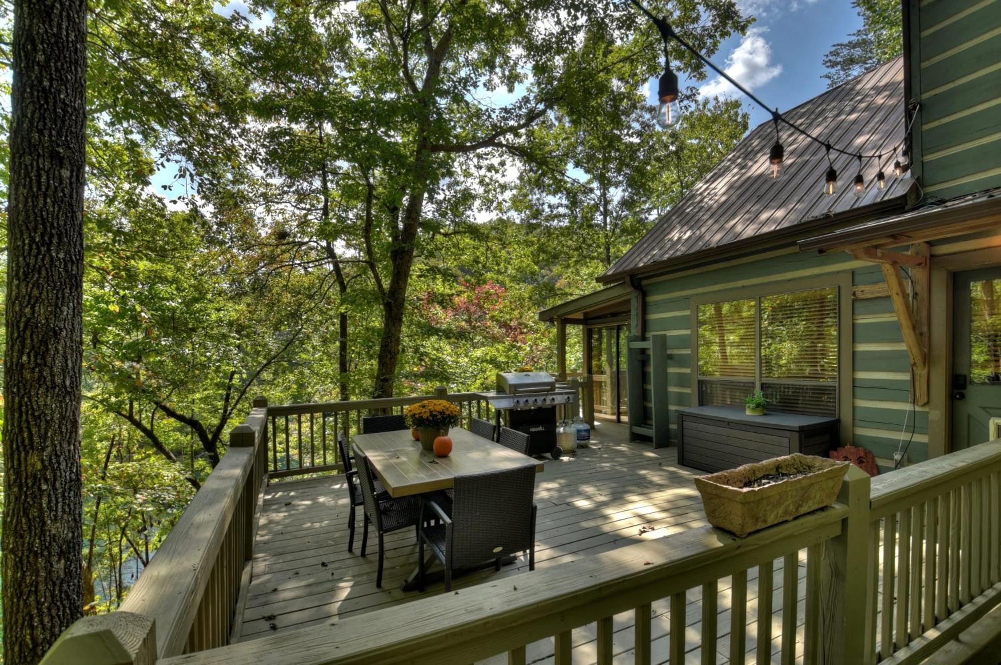 Waywish Waterfront Cabin In Blue Ridge Mountains Экстерьер фото