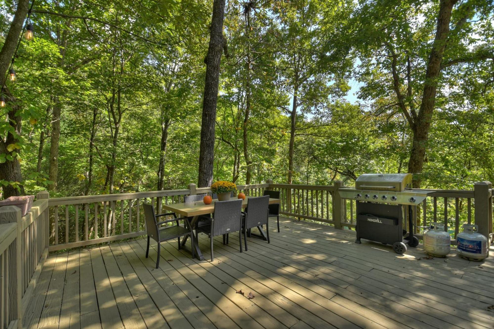Waywish Waterfront Cabin In Blue Ridge Mountains Экстерьер фото